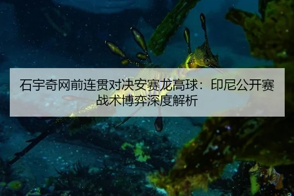 shi-yu-qi-wang-qian-lian-guan-dui-jue-an-sai-long-gao-qiu-yin-ni-gong-kai-sai-zhan-shu-bo-yi-shen-du-jie-xi-3-264.jpg